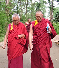 Dagri Rinpoche