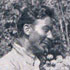Validity of Oracles
