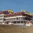 Serpom Thösam Norling Monastery, Bylakuppe, India (updated)