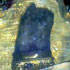 Lama Tsongkhapa’s holy tooth relic