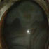 Kyabje Trijang Rinpoche’s image appeared on a marble on His stupa